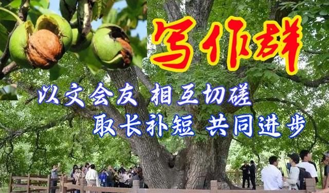 群友好！愿天天有个好心情，开心写作一小会