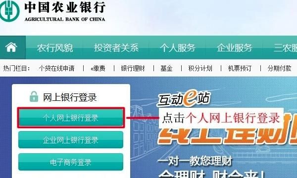 农业银行个人网上银行怎么查询明细，农业银行怎么查看每月还款明细？图3