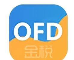 电子发票的电子签名在哪里，电子发票开具认证流程？图3