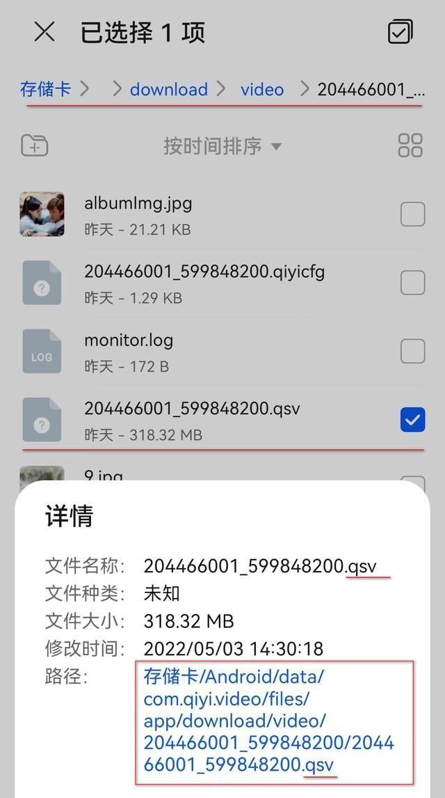 手机爱奇艺下载的视频在哪？怎么转换为MP4？让我来告诉您