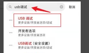 苹果手机usb设置在哪里，怎样才能把苹果手机里面的歌曲复制到电脑或U盘？图8