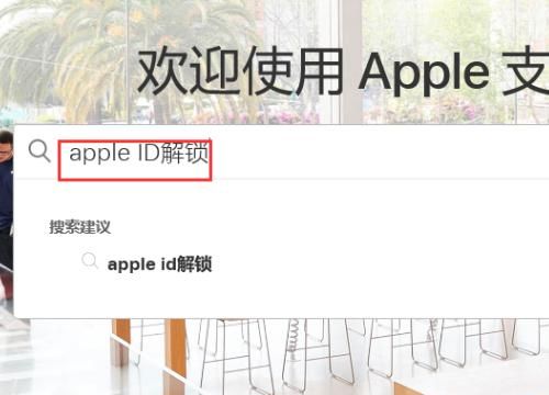 关于苹果手机解锁，忘记ID密码解锁经验，关于苹果手机解锁，忘记ID密码解锁经验？图2