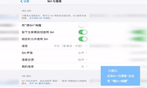 iPhone Siri没声音怎么办，siri识别不了声音怎么办？图4