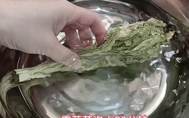 雪莲怎么吃才好吃，鲜雪莲怎么吃才好吃？图11