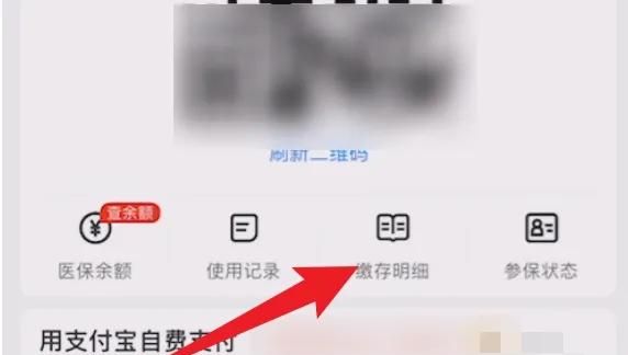 支付宝怎么查询社保缴费信息？，支付宝如何绑定两张社保卡，并且查询社保缴费信息？图12