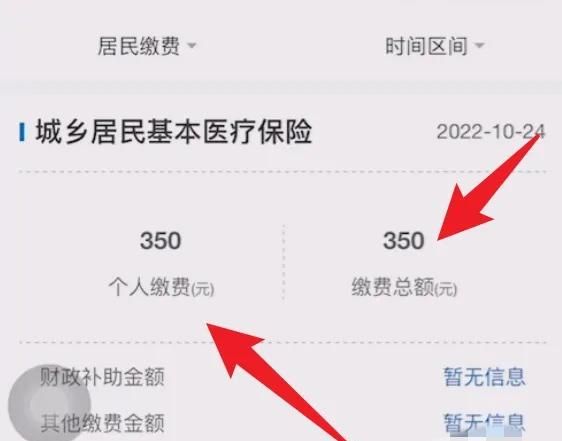 支付宝怎么查询社保缴费信息？，支付宝如何绑定两张社保卡，并且查询社保缴费信息？图13