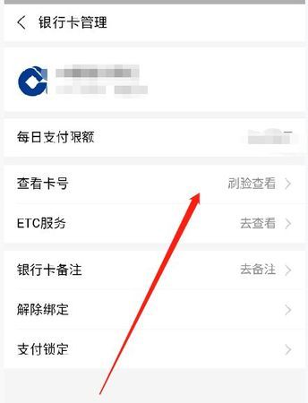 支付宝上面怎么刷信用卡