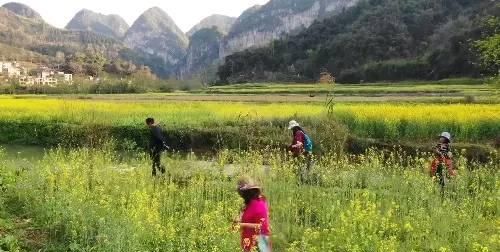 带你走进云南文山广南世外桃源，欣赏最美风景，品尝最美美食