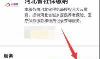 自己在网上如何申请社保卡，农村社保卡网上如何缴费？图4