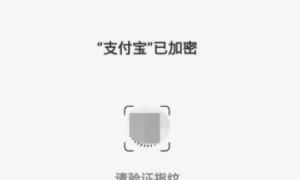 怎么给软件加锁，oppo  A11x怎样给软件加锁？图7