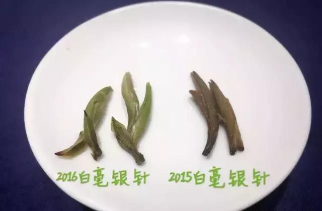 茶谈 | 别再被忽悠了，白茶不是产自点头镇