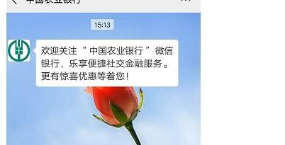 中国农业银行开户行查询方法分享，农业银行网上怎样查询流水帐单？图10