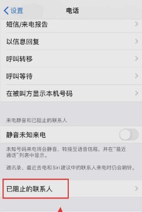 苹果手机怎样设置拦截骚扰电
