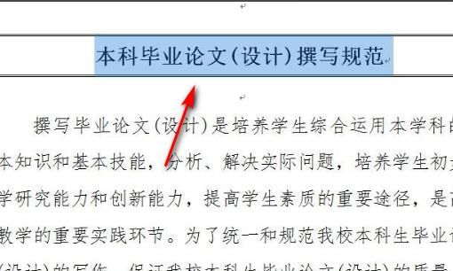 word如何为标题设置双线型字符边框，word如何为标题设置双线型字符边框？图5