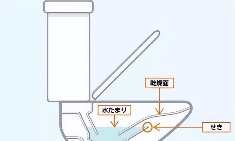 为什么马桶不能把用过的手纸冲掉图1