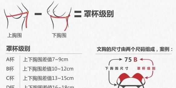 胸罩abc怎么分法