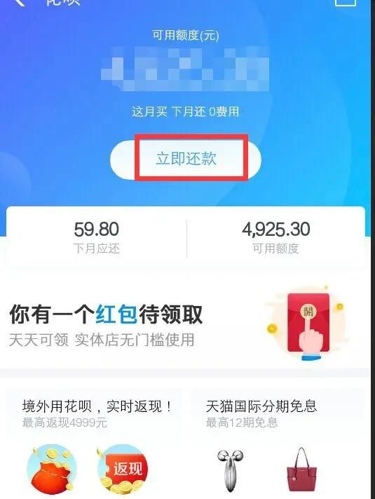 支付宝花呗怎么还款，支付宝花呗还款怎么用余额还款？图6