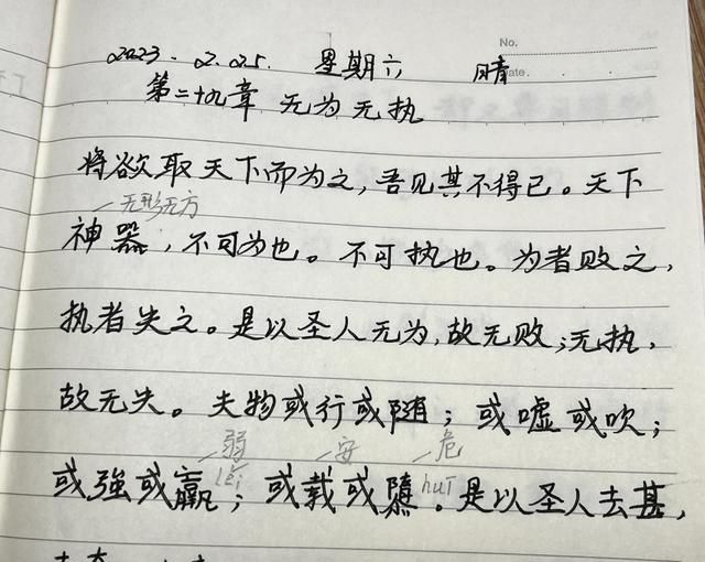 初春时节乍暖还寒，不仅迎春花报信，鲜黄的蒲公英花也在悄悄绽放