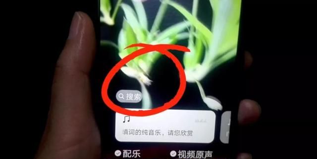 微信编辑照片或视频，如何添加文字和音乐？操作简单还好玩