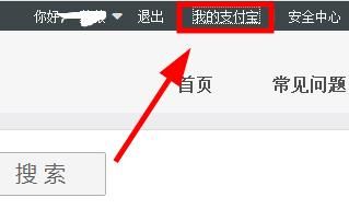 如何查看支付宝名下帐户，怎么查看支付宝名下账户以及资金？图6