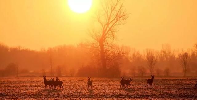 觊觎、氤氲、圭臬：80个生僻词语，你能正确读出来吗？