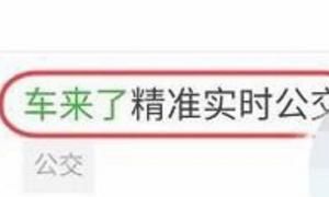 8684公交查询使用指南，8684公交怎么查公交实时位置？图4