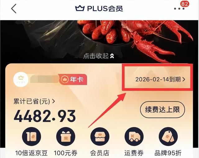 53.9元开通京东Plus会员，突破续费上限，附消灭运费券好物清单