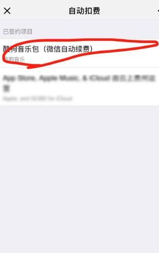 微信如何关闭一些自动扣费项目？，微信自动扣费如何取消，微信自动扣费项目怎么关闭？图5