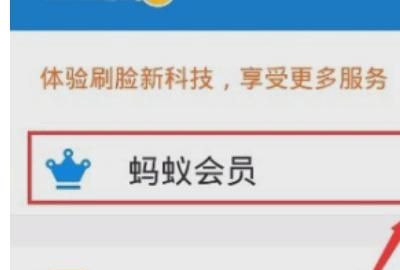 支付宝提现如何免除手续费，支付宝提现如何免手续费？图24