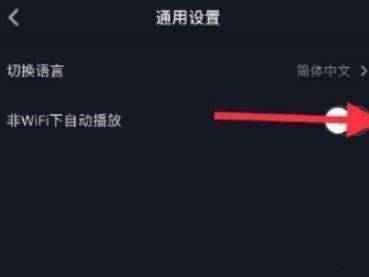 如何让抖音在非WiFi情况下也能够自动播放？，ipad抖音，怎么设置自动播放？图11