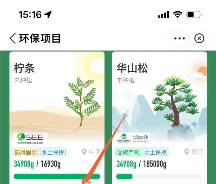 支付宝里蚂蚁森林的合种树怎么做？，支付宝蚂蚁森林的山桃树怎么种的？图3