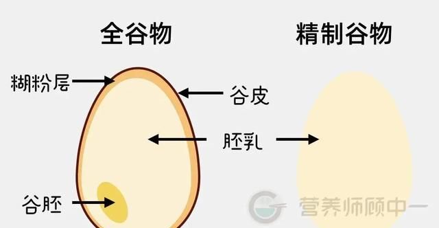 全谷物、粗粮、杂粮有什么区别？薯类、杂豆类包括哪些？