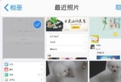 QQ个人资料卡背景怎么自定义，新版QQ怎么修改QQ资料卡背景墙？图24