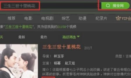 如何用爱奇艺下载视频，如何使用爱奇艺下载视频到电脑桌面？图2