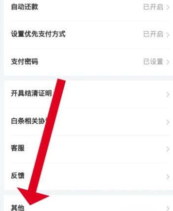 京东白条如何还款，京东白条如何还款？图2