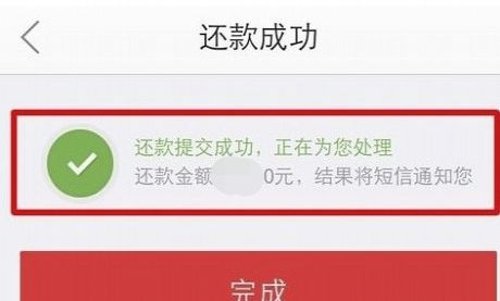 京东白条如何还款，京东白条如何还款？图18