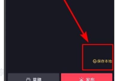 抖音拍摄发布小视频的方法，抖音拍的视频不发布怎么保存到手机？图2