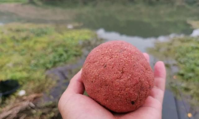 用自来水开饵会影响垂钓吗？不会，但这几种开饵效果会更好