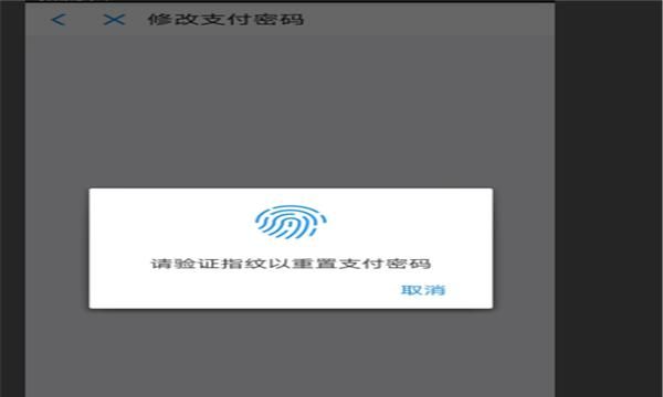 支付宝如何重新设置支付密码，支付指纹如何重新设置？图13