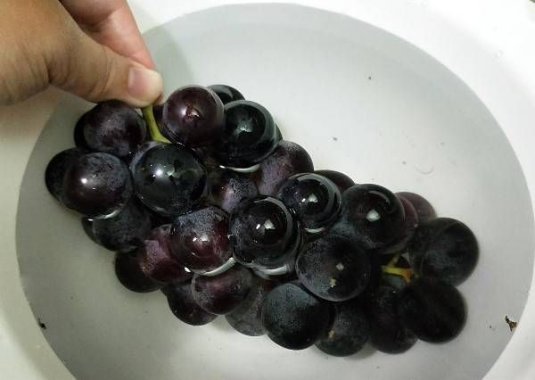 洗过的葡萄怎么保存，没有冰箱