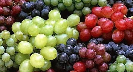 洗过的葡萄可以放冰箱吗，洗过的葡萄怎么保存，没有冰箱？图2