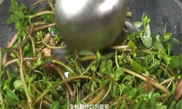 马齿笕怎么炒好吃，新鲜马齿菜怎么炒好吃？图6