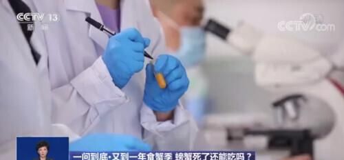 中国水产研究院实验：螃蟹死后2小时、5小时、24小时的食用风险多高？