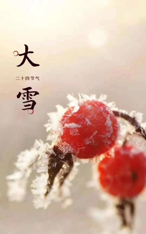 大雪节气的特点