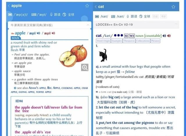 全文干货！17个大学生学习必备的APP，用过再也不舍得删