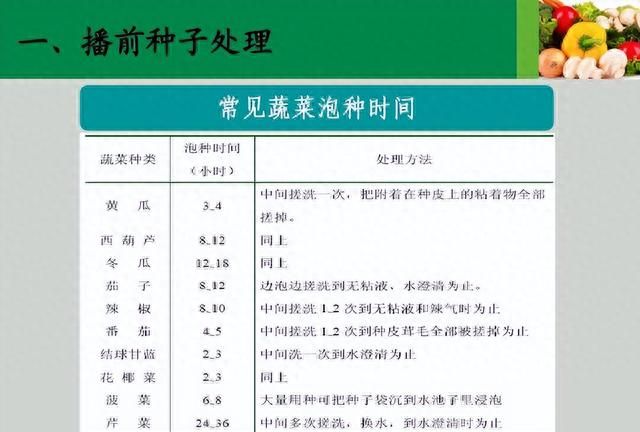 播种育苗，哪些种子需要浸泡，哪些种子不需要浸泡？别搞错了