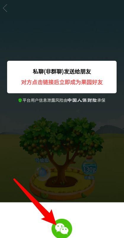 拼多多果园加好友为什么加不上