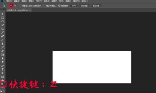 ps怎么放大图片，放大缩小快捷键有哪些？，ps怎么放大缩小图片，ps放大缩小快捷键？图1
