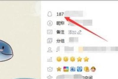 如何让别人查看不到自己的QQ账号，怎么让别人搜不到自己的qq号？图13