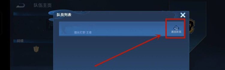 王者荣耀小队怎么退出，王者荣耀幸运小队怎么退出我是队长？图15